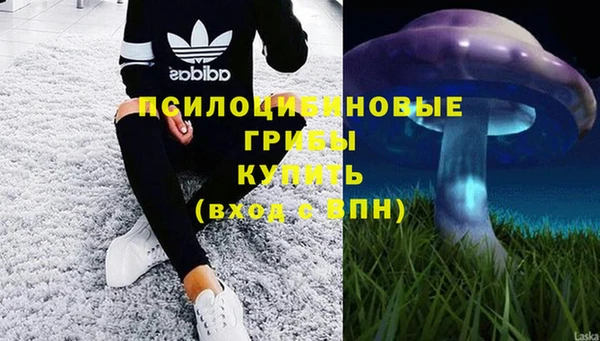 apvp Дмитриев