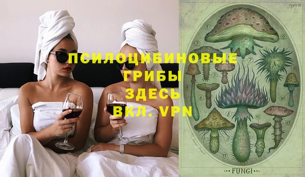 apvp Дмитриев