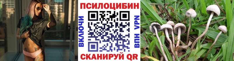 Псилоцибиновые грибы GOLDEN TEACHER  KRAKEN ТОР  shop клад  купить   Гусиноозёрск 